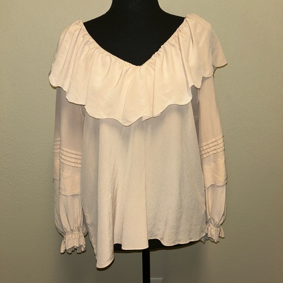 $298 MSRP Joie Silk Pink Sky Brennt Ruffle Blouse Large Silky feminine Shirt - Picture 2 of 8